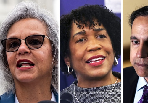 The Power of Polling and Data Analysis in Political Campaigns in Northeastern Illinois